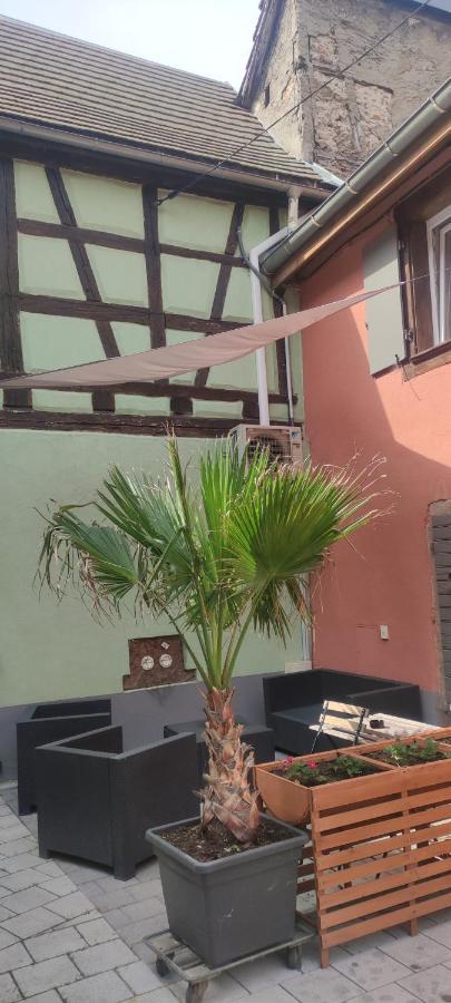 Gite Chez "Mamie Schlop" Kientzheim Exterior foto